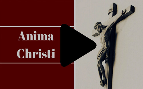 The Anima Christi